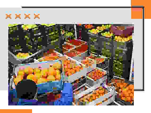 Перевозка скоропортящихся продуктов в Тайшете